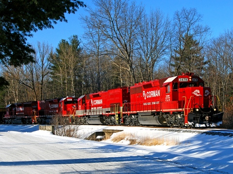 fallen timber coal - copy